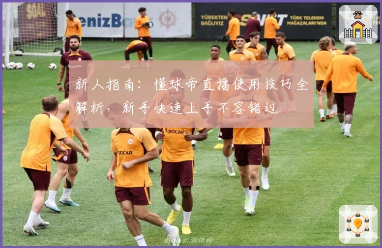 新人指南：懂球帝直播使用技巧全解析，新手快速上手不容错过